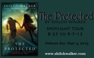 The Protected Tour banner_edited-1