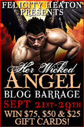 herwickedangel-barrage