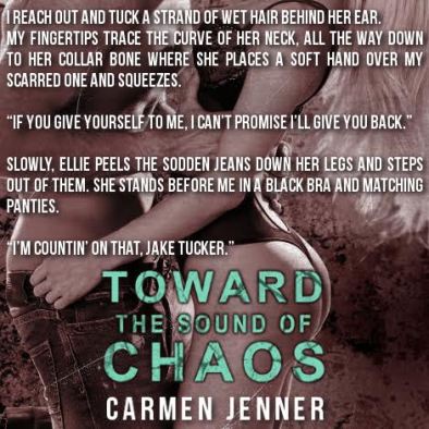 toward the sound of chaos teaser 2